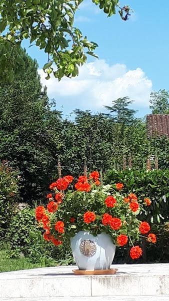 Le Mazet D'Olt Bed and Breakfast Altillac Buitenkant foto