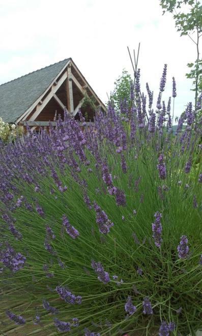 Le Mazet D'Olt Bed and Breakfast Altillac Buitenkant foto